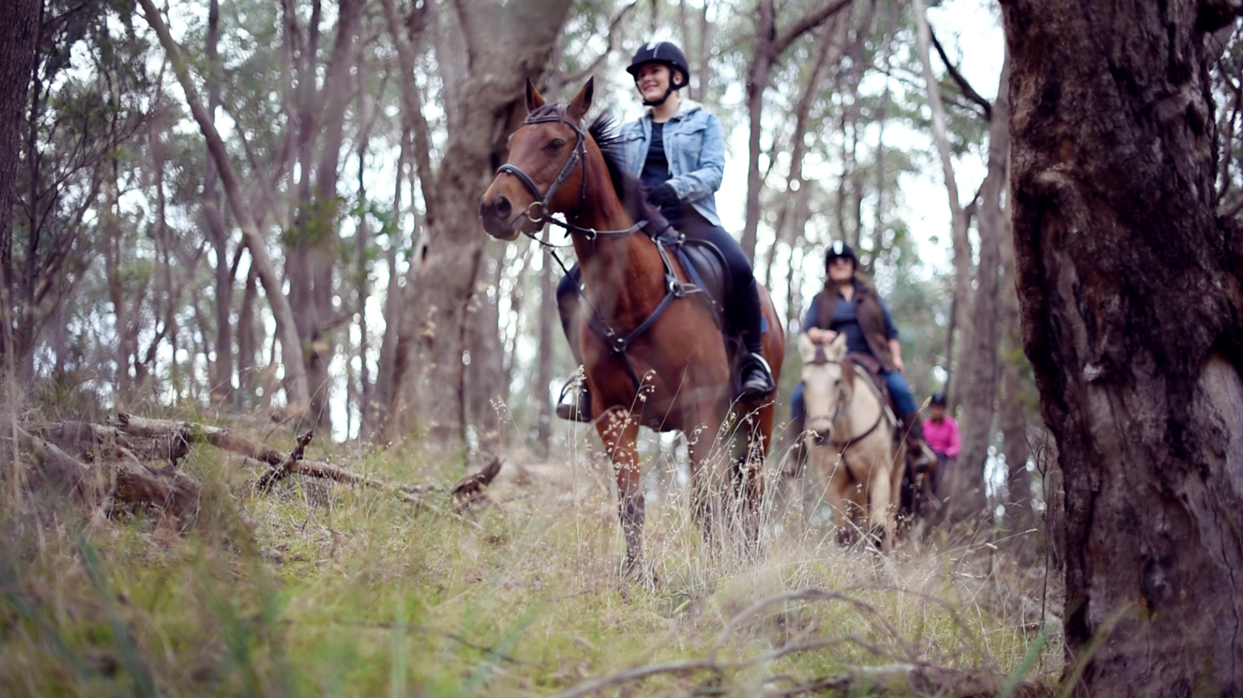 Horse riders on a shared trail in Nillumbik